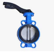 Elastični leptir ventil sa sjedištem